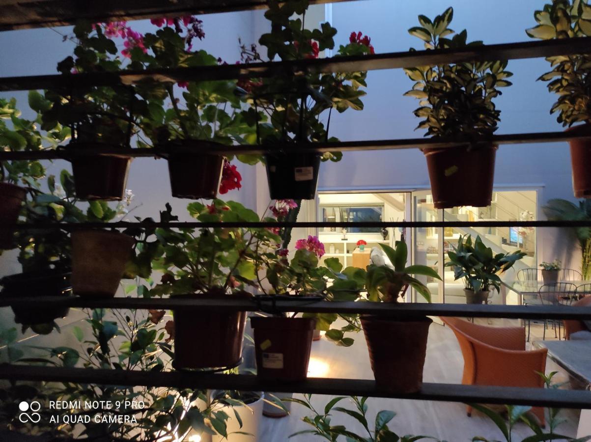 Y Bano En Planta Independiente En Centro De Séjour chez l'habitant
